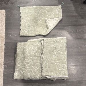 Sage green and off-white matelasse jacquard coverlet set - full-queen